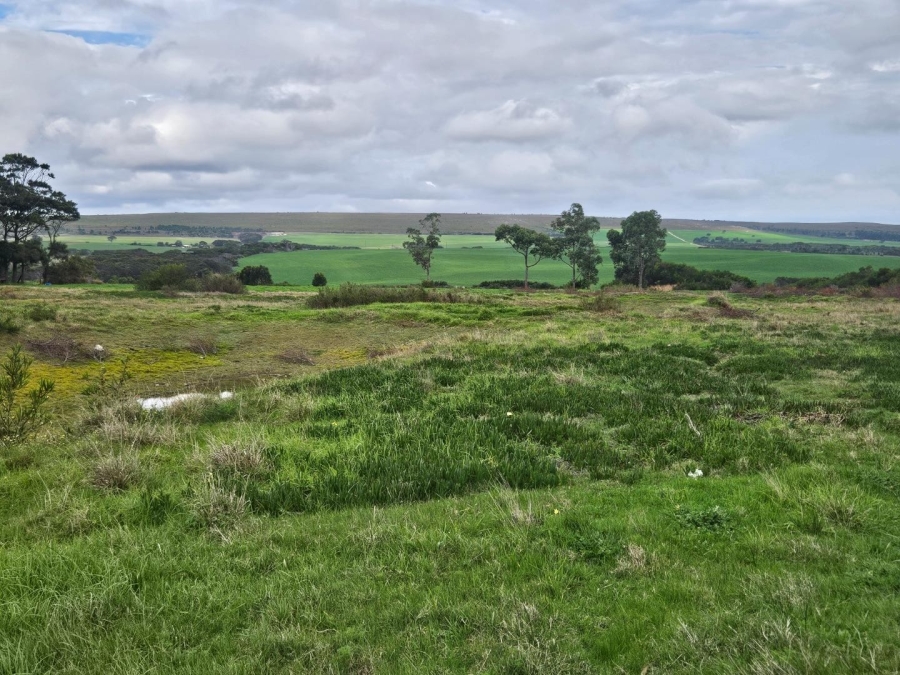 0 Bedroom Property for Sale in Baardskeerdersbos Western Cape